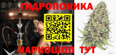 ПСИЛОЦИБИНОВЫЕ ГРИБЫ Рыбинск
